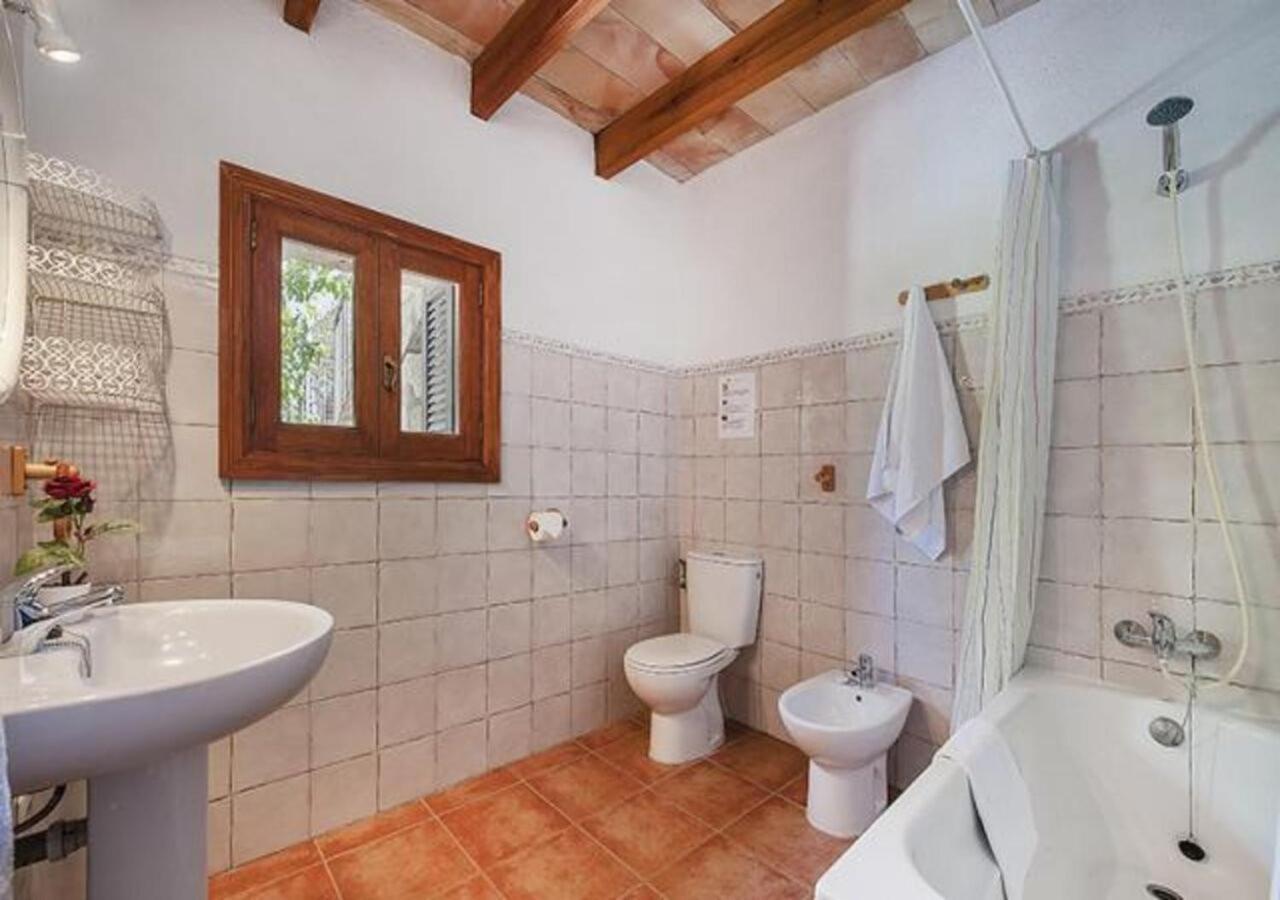 Palmeras Villa Pollença